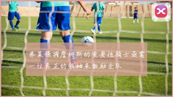 弗莱强调詹姆斯的重要性骑士亟需一位真正的领袖来激励全队